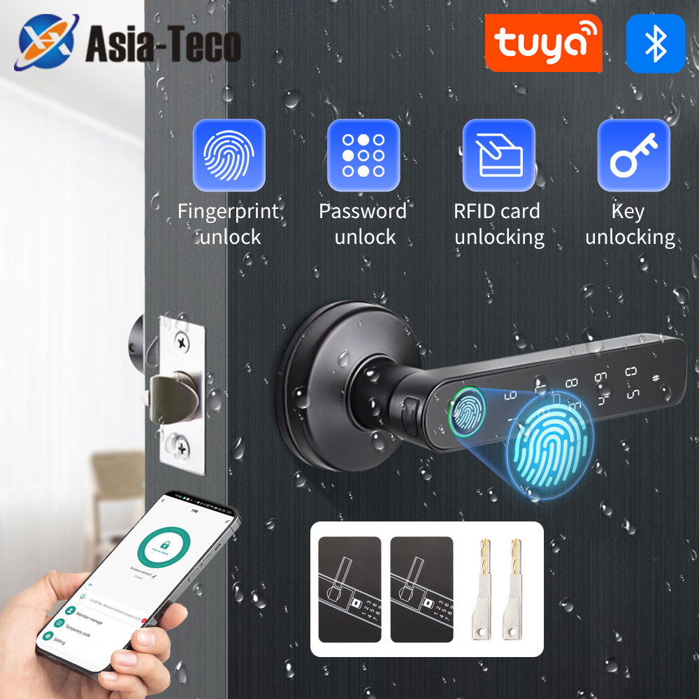 Smart Home Website - Tuya SmartLife APP BLE serrure intelligente