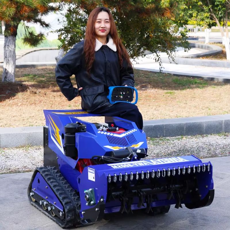 Smart Home Robot - Tondeuse à gazon télécommandée intelligente personnalisée