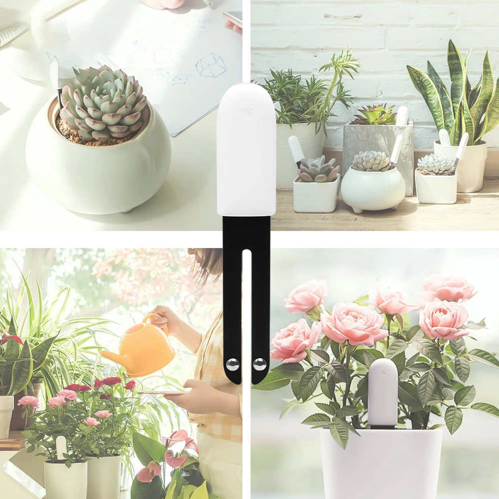 HHCC Flora moniteur jardin soi - Smart Home Xiaomi Devices avis et prix