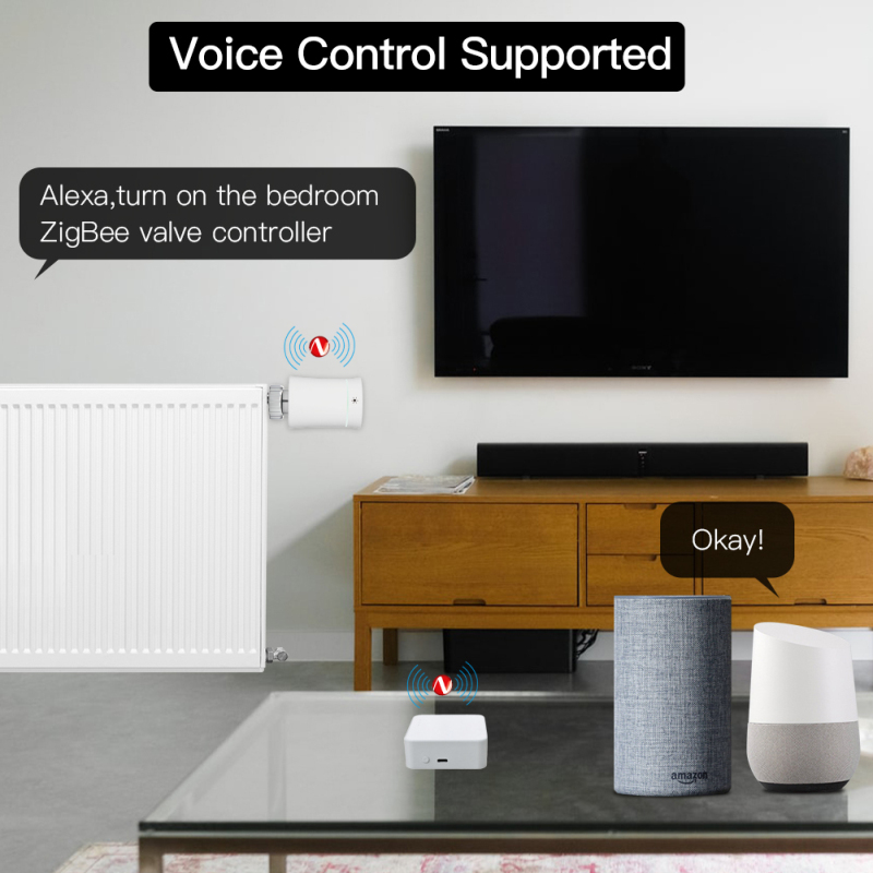 Tuya – Hub de passerelle intel - Smart Home Bridge avis et prix
