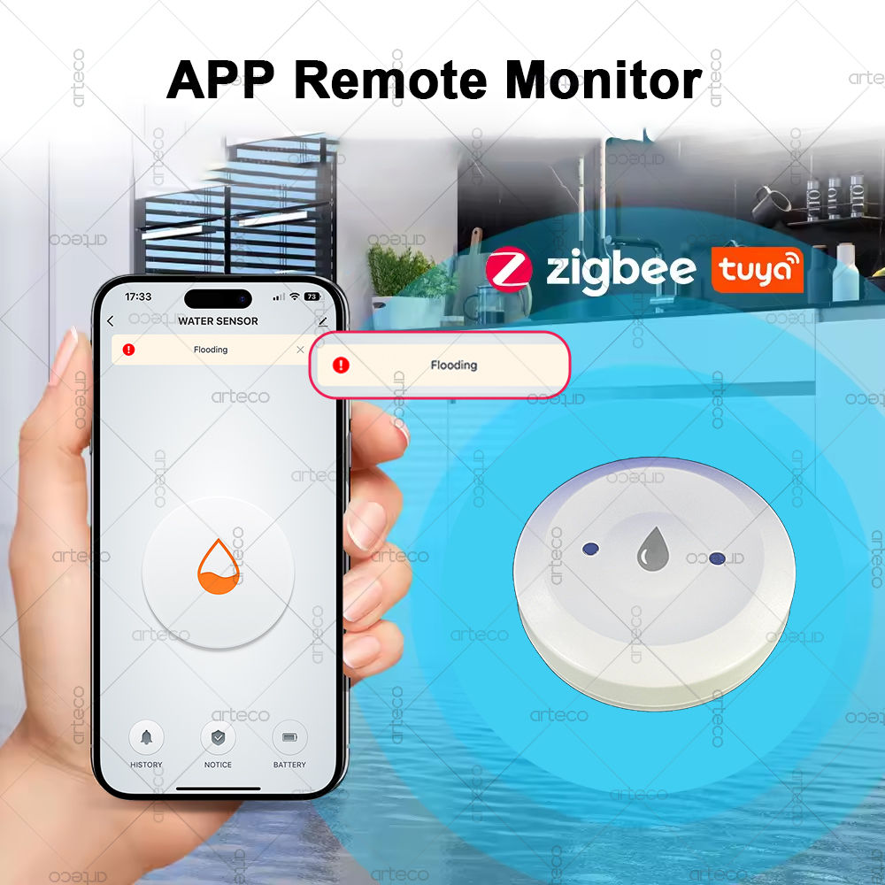 Tuya – capteur d'eau intellige - Smart Home Website avis et prix