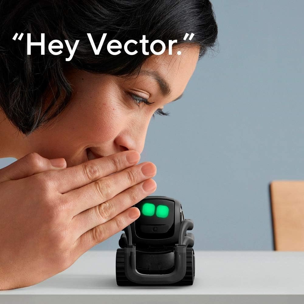 Robot compagnon intelligent au - Smart Home Voice Control avis et prix