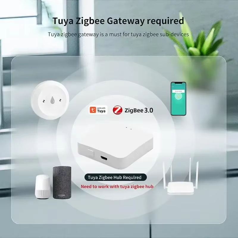 Détecteur de fuite d'eau intel - Smart Home Zigbee 3.0 avis et prix