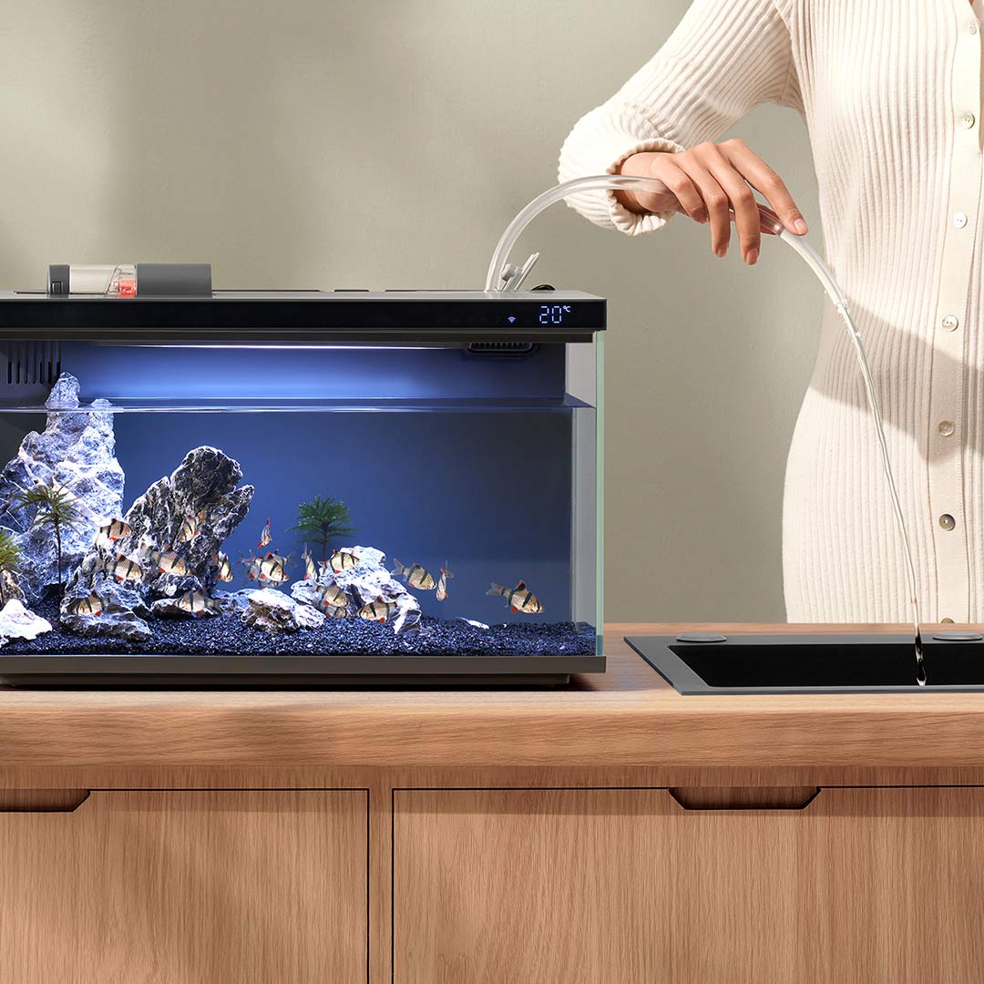 Xiaomi Mijia – Aquarium intell - Smart Home Yeelight avis et prix