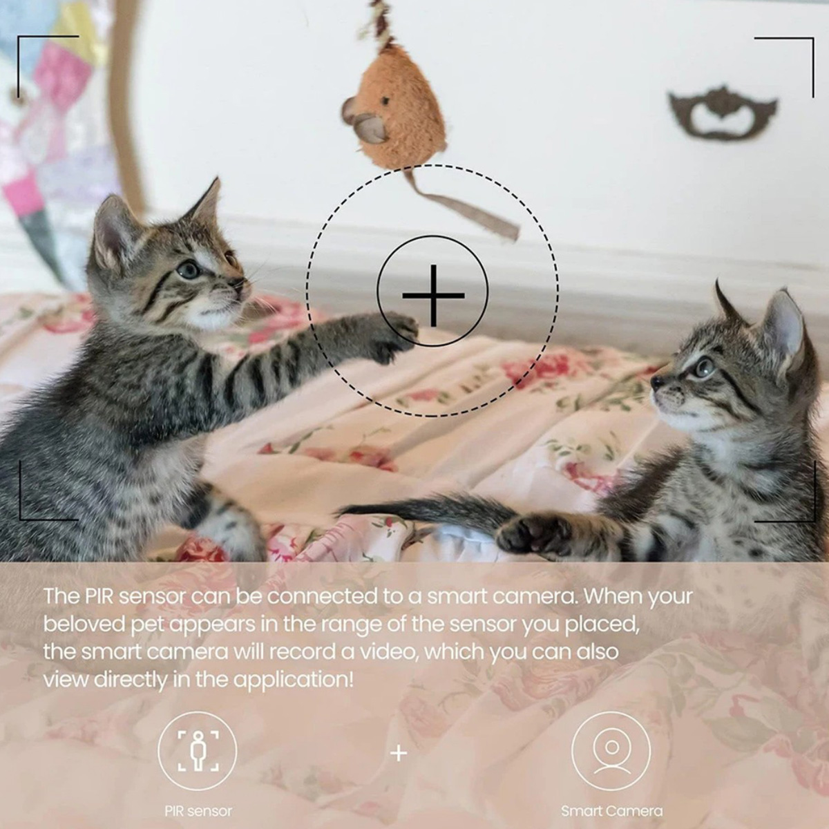 Capteur de mouvement PIR ZigBe - Smart Home Website avis et prix