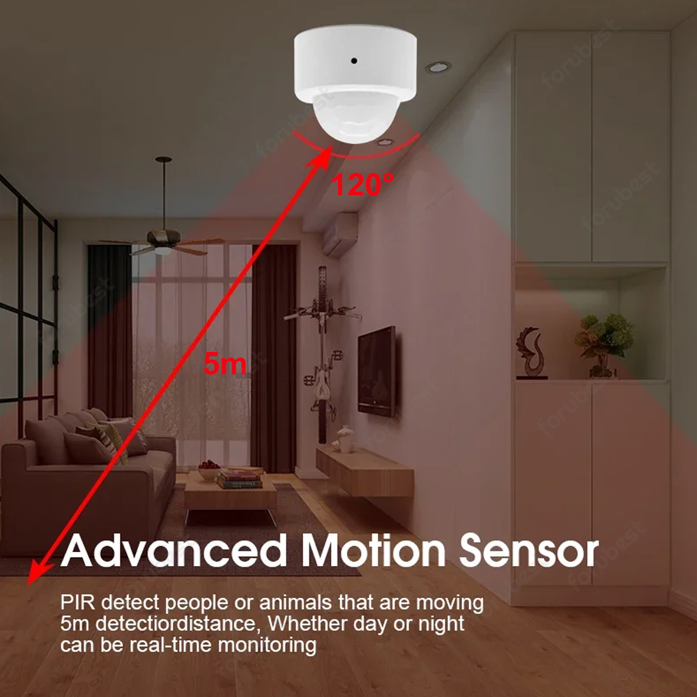 Zigbee 3.0 capteur de mouvemen - Smart Home Bridge avis et prix